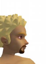 Guest_Papabearadam77