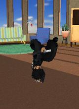 Guest_halo2teen