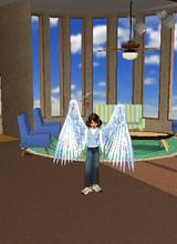Guest_SEATTLECOWGIRL