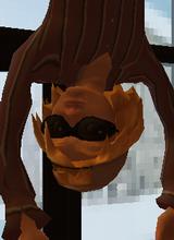 Guest_jnglon