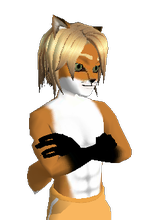 Guest_Josh4240