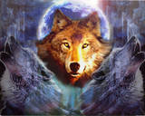 SnowWolf89