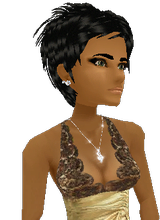 SilkySimmer