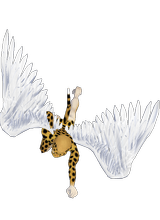 TreasureTamer
