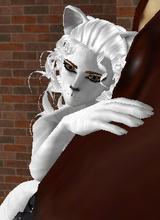 Guest_Starzina