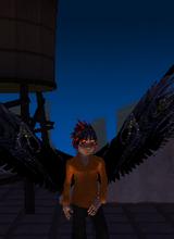 Guest_Shaun98890