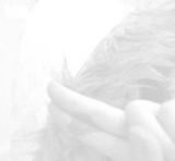Guest_hihihey