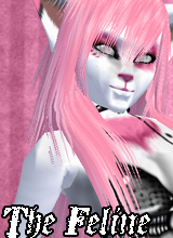 Nareiko