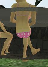 Guest_Lolli1331