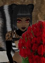 GoodnightGeisha