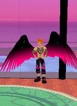 Guest_coldfire1111