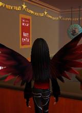 Guest_ald994