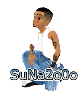 Suna2000