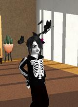 Guest_PocketGayyy