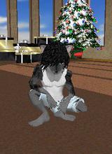 Guest_nate721