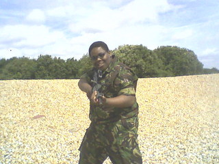 Guest_tareke