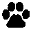 CatRita