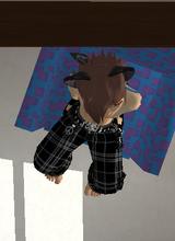 Guest_clarkums_disabled_9442805