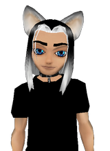 Guest_keithV5