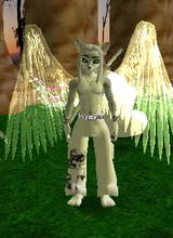 Guest_jakeb1041990