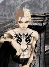KingShadoeSeekr