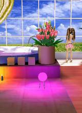 Guest_MiyuKogyaru