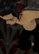 Guest_kintaro08