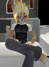 CharmedLyon