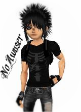 NoAwnser