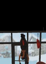 Guest_MrKomy