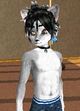 ArcticCanine