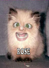 AntaresRose