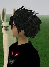 Guest_Funz997