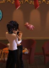 Guest_halley1