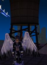 Guest_Meterex