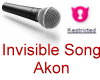 Invisi-Song Akon (R)
