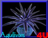 4u Aqulivus Flower Bunch