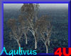 4u Aqulivus Tree 11