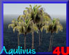 4u Aqulivus Tree 16