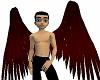 Blood Red Wings