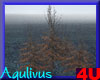 4u Aqulivus Tree 12