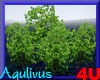 4u Aqulivus Tree 7