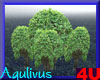 4u Aqulivus Tree 1