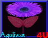 4u Aqulivus Flower 10