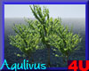 4u Aqulivus Tree 18