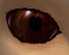 Blood Heart Vamp Eyes M