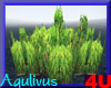 4u Aqulivus Tree 3