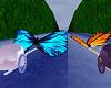Titania's Race