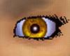Golden Goddess Eyes