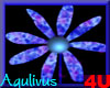 4u Aqulivus Flower 11